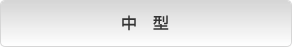 中型