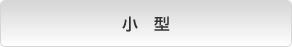 小型